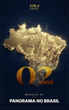 Módulo 2 — Panorama no Brasil